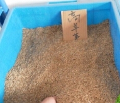 詳細介紹煙臺糊料的組成部分